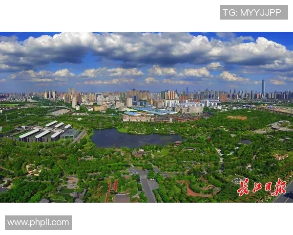 武汉排球队的蜕变之旅联合会杯特别报道展现新风貌与挑战 武汉排球队的蜕变之旅联合会杯特别报道展现新风貌与挑战