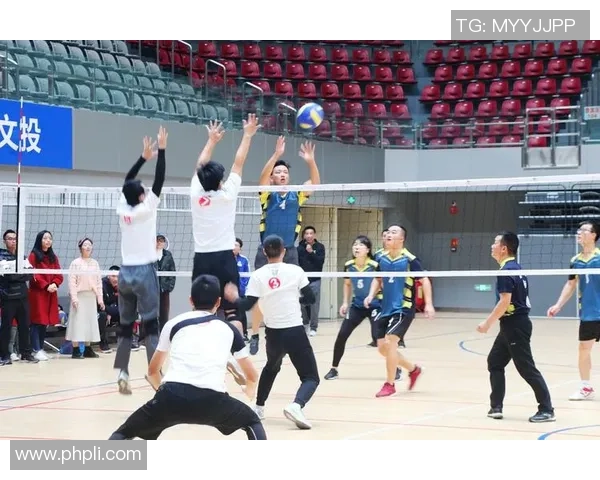 权威发布：排球灵活性实力榜单