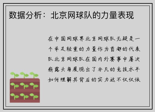 数据分析：北京网球队的力量表现