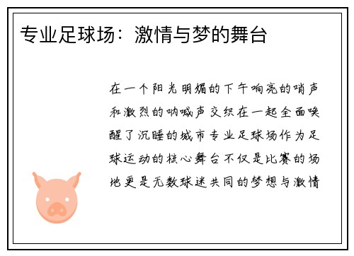 专业足球场：激情与梦的舞台