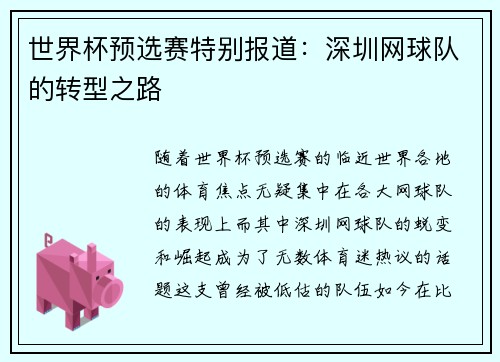 世界杯预选赛特别报道：深圳网球队的转型之路