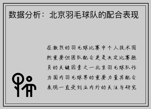 数据分析：北京羽毛球队的配合表现