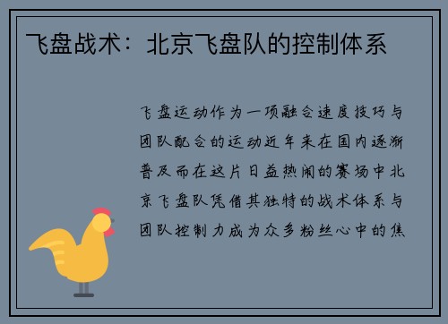 飞盘战术：北京飞盘队的控制体系