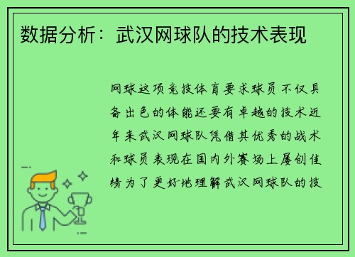 数据分析：武汉网球队的技术表现